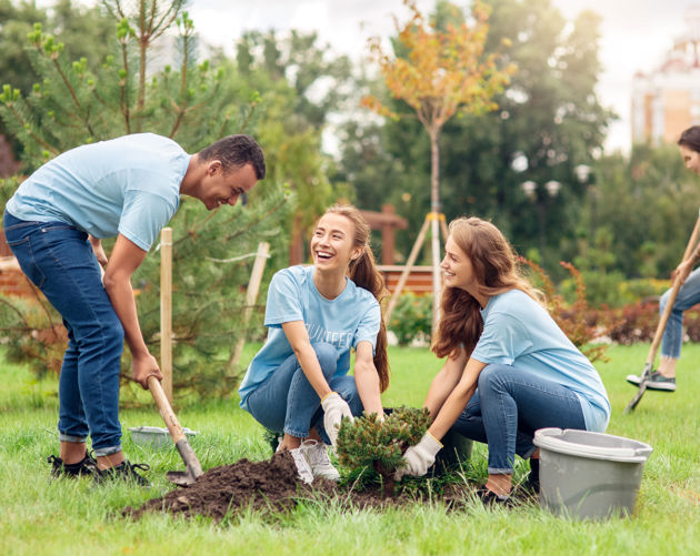 ado_people_planting_tree.jpg